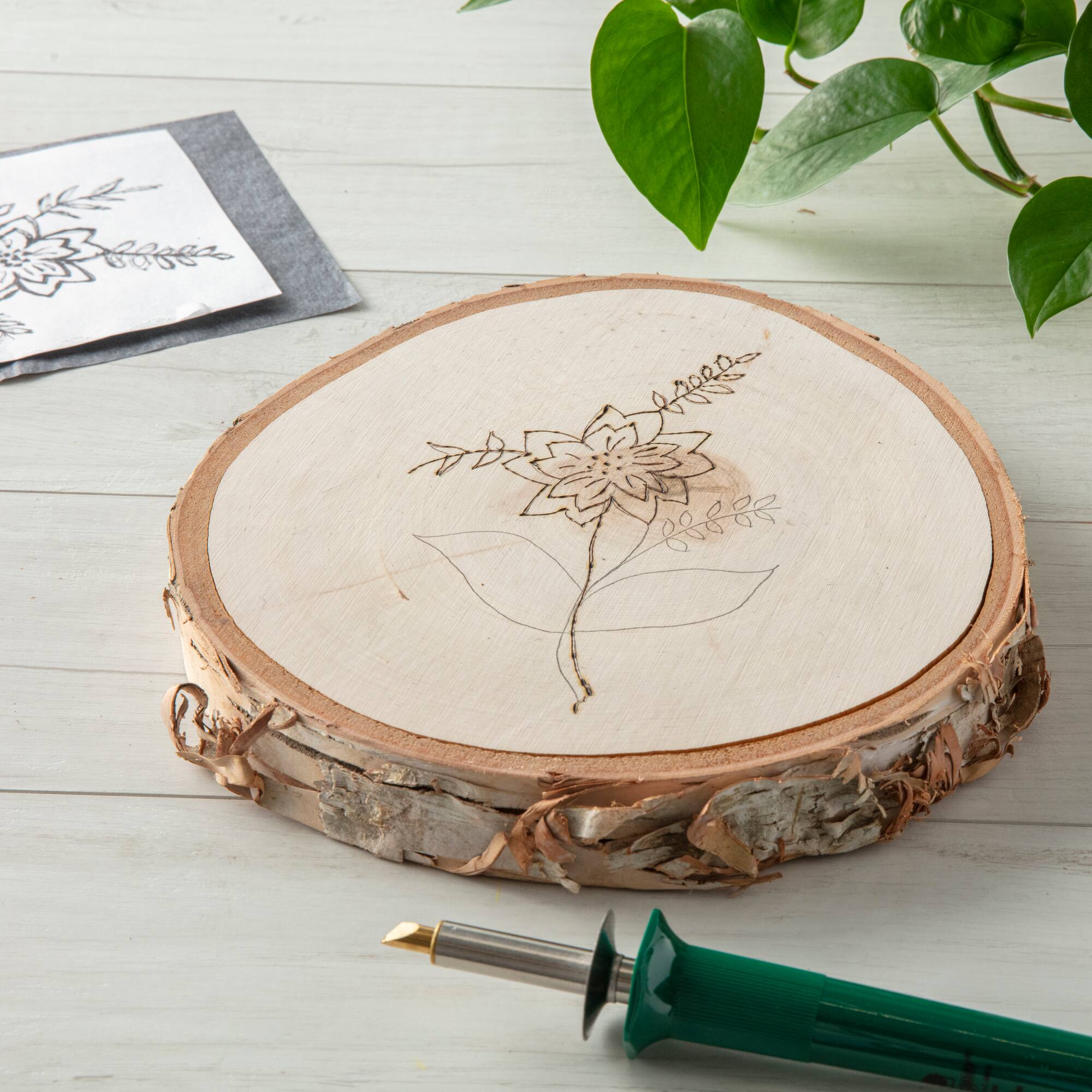 8 Pack: Birch Round by Make Market®